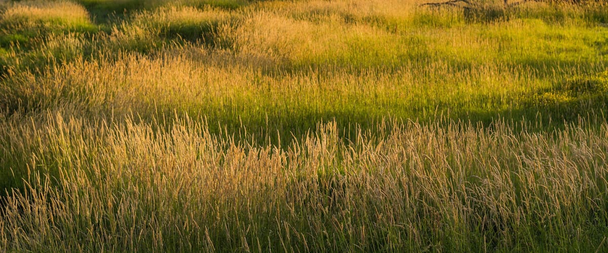 Tualatin River National Wildlife Refuge