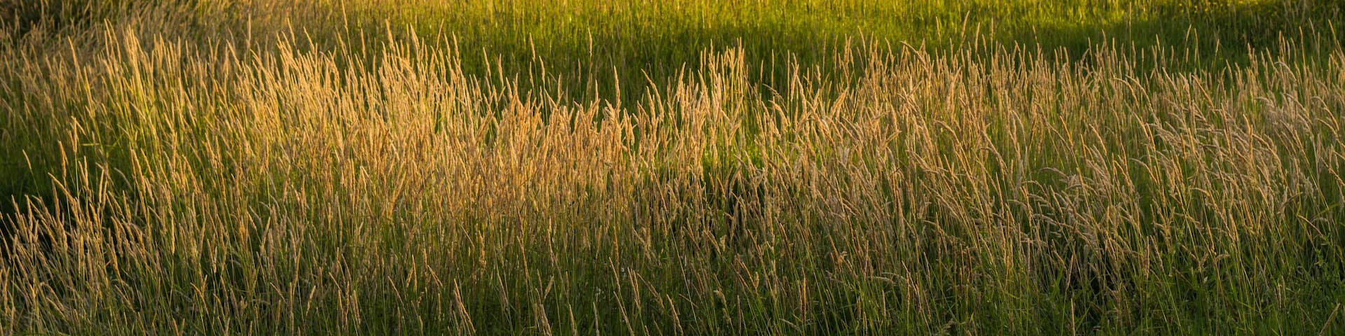 Tualatin River National Wildlife Refuge