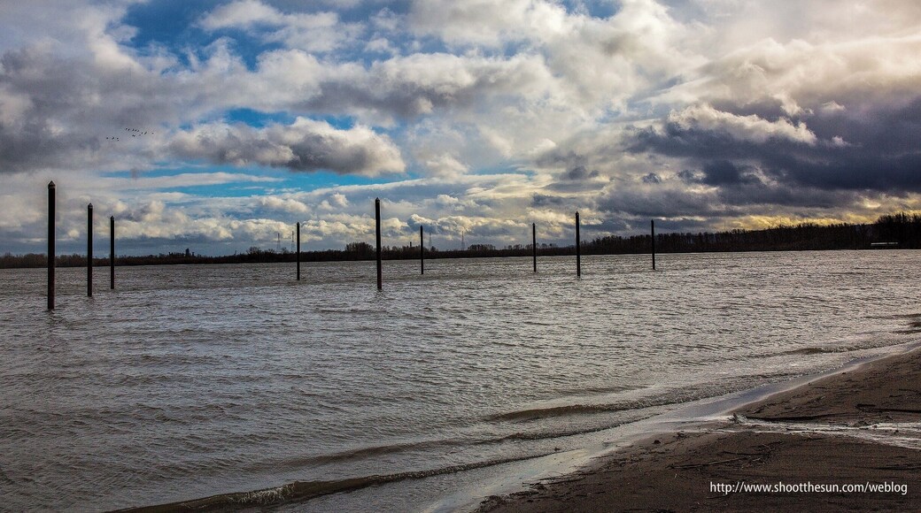 The southern shore of Vancouver Lake. I would have taken these on the solstice, but we're going to have rain that day. No matter, one day earlier and the light is still struggling to assert its presence.