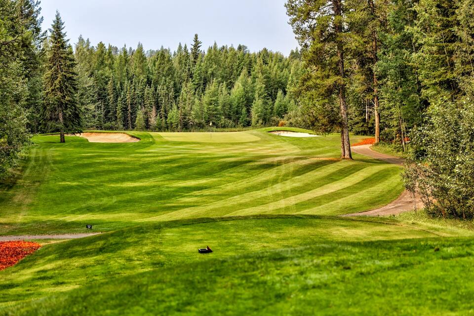 A golf course with a well-manicured green, sand bunkers, and a forested background.