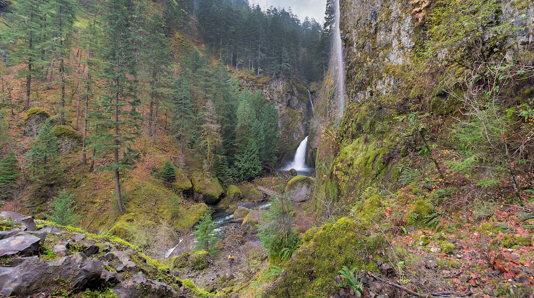 Wahclella Falls from Above