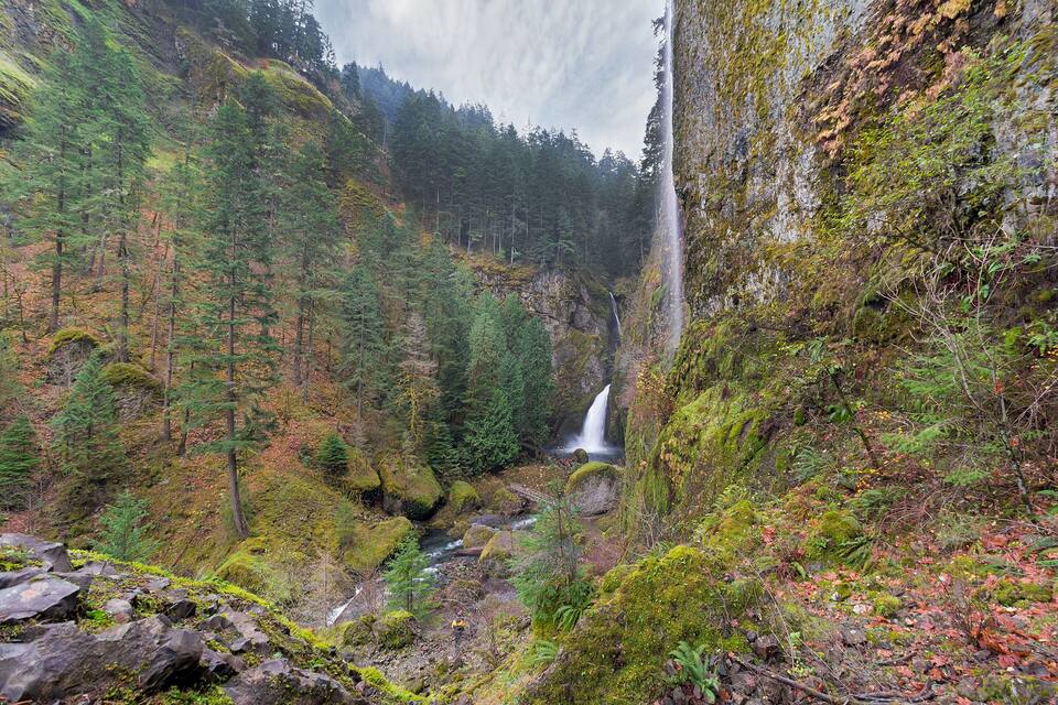 A forested valley with a waterfall, a river, and a bridge.