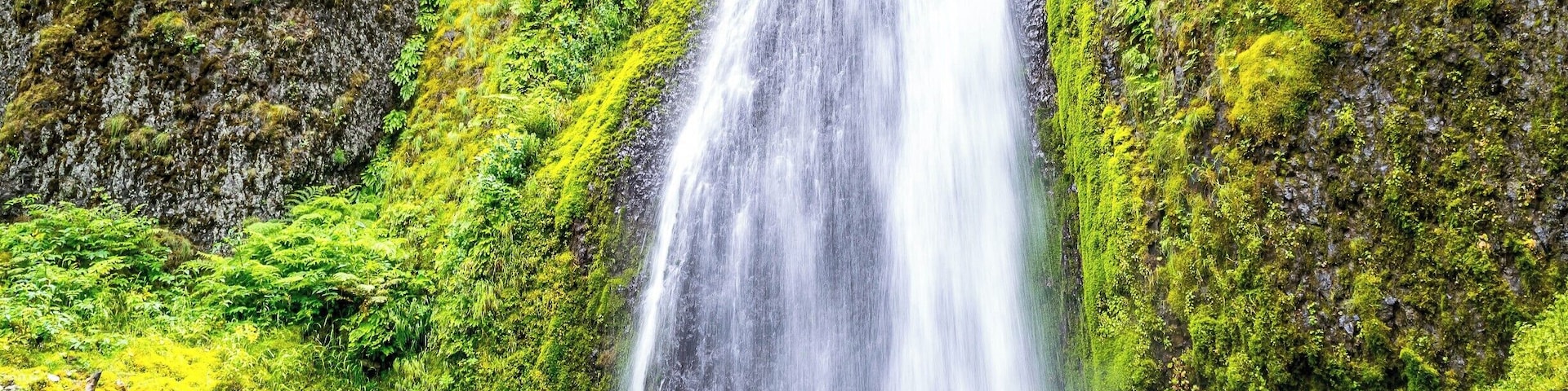 Little hike to the top of the Wahkeena falls