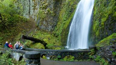 Wahkeena Falls which includes rainforest and a waterfall