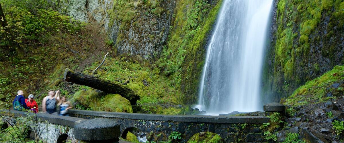 A waterfall cascading down a moss-covered cliff.