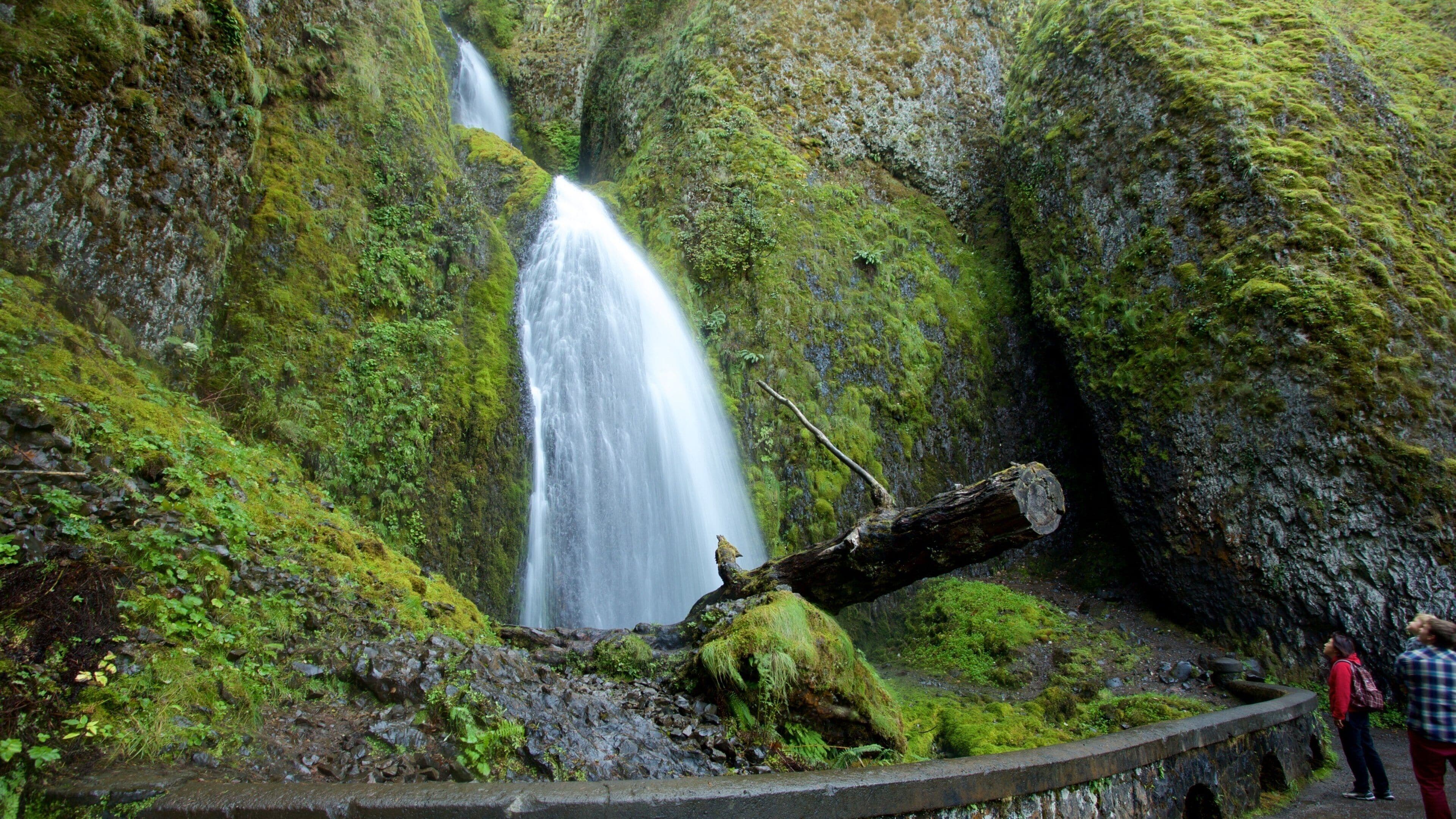 A waterfall cascading down moss-covered rocks, with a fallen tree in the foreground and two people observing.