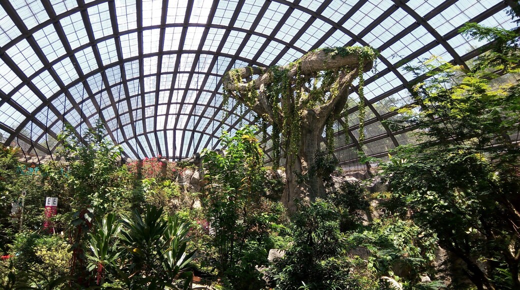 #entopia
#butterfly
#Penang
#Malaysia
#OrbitzTravel