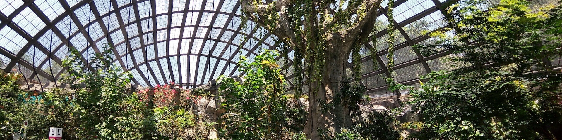 #entopia
#butterfly
#Penang
#Malaysia
#OrbitzTravel