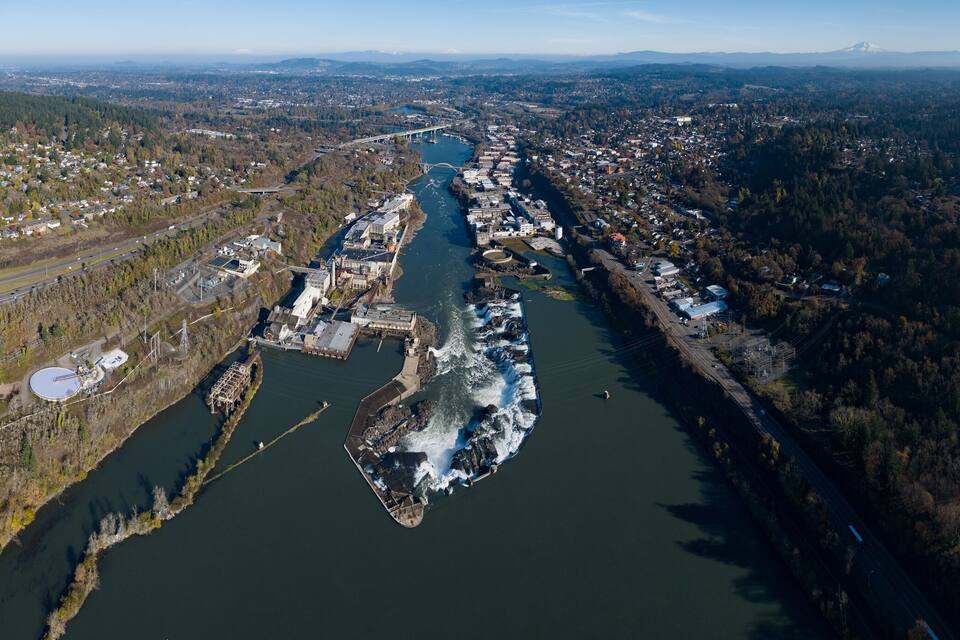 An aerial view of a river with a bridge, surrounded by dense forests and urban areas.