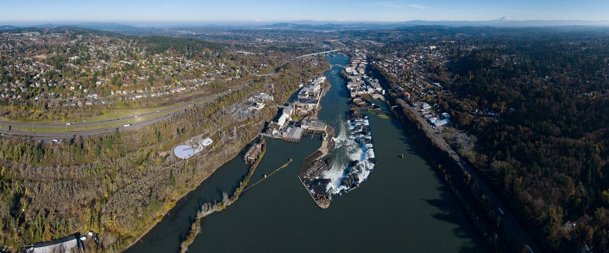 An aerial view of a river with a bridge, surrounded by dense forests and urban areas.