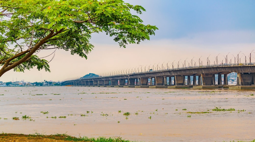 Bridge Over Babahayo River, Guayaquil, Ecuador