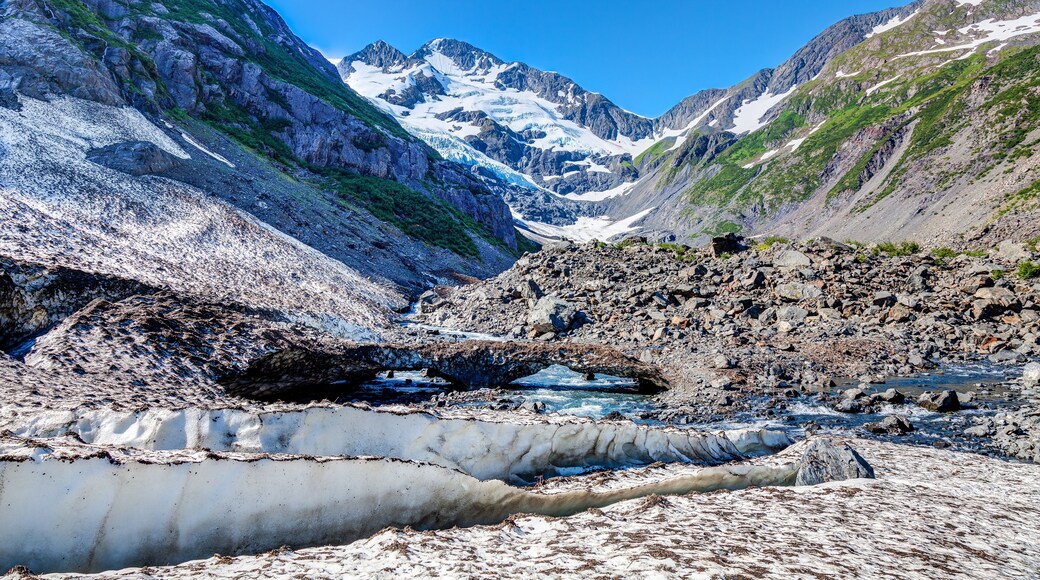 Byron Glacier fottursti