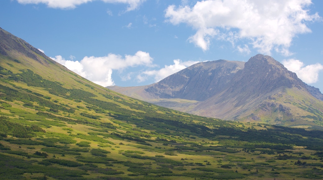 Flattop Mountain Trail featuring mountains