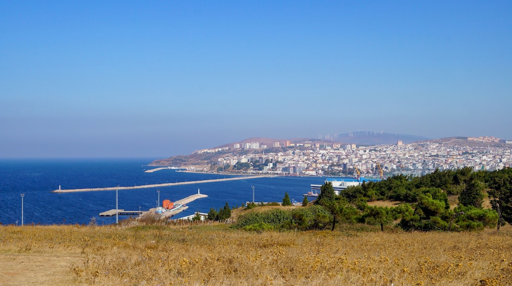 Bandirma city from the hill