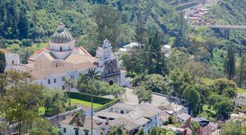 Guapulo featuring a city