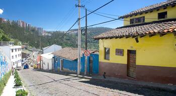 Guapulo som omfatter gadeliv