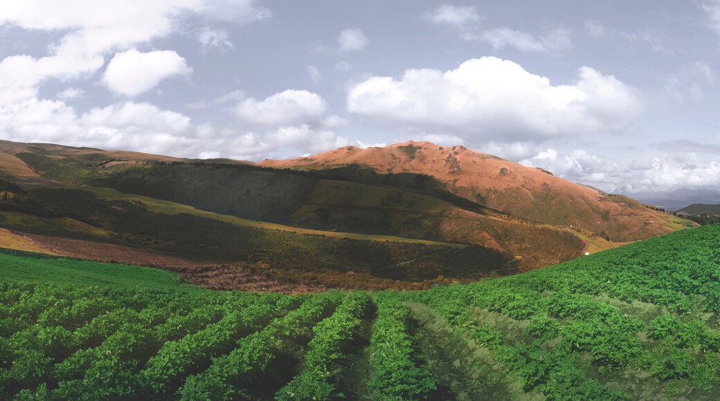 Ecuador paisaje panorámica Cayambe