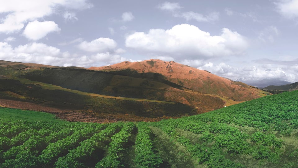 Ecuador paisaje panorámica Cayambe