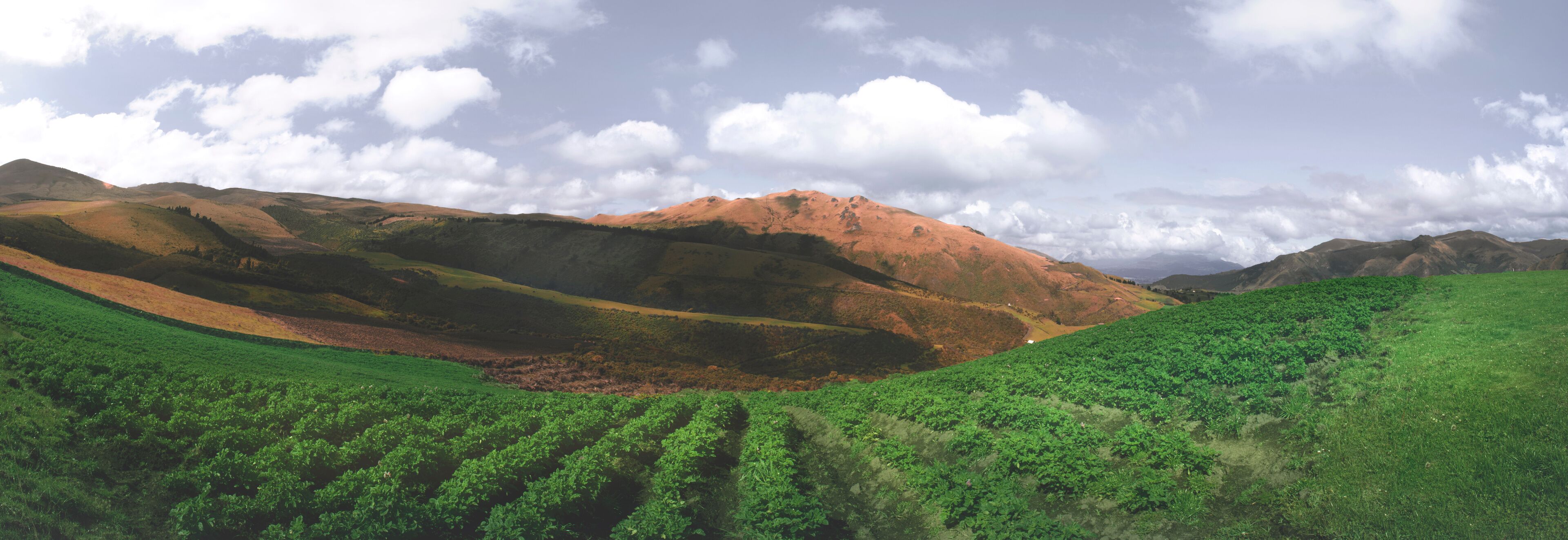 A hilly landscape with green fields and a mountain in the background.