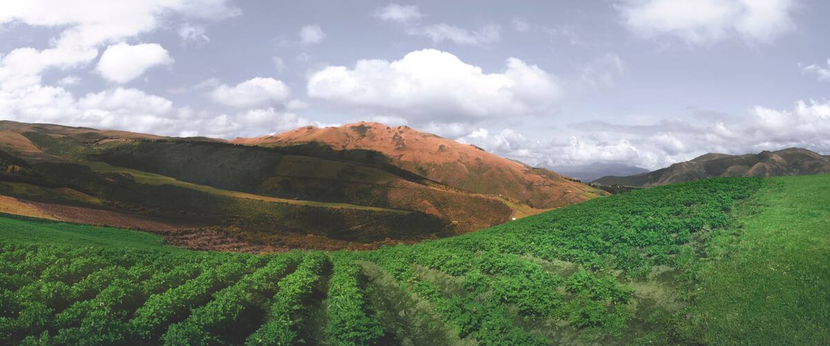 A hilly landscape with green fields and a mountain in the background.