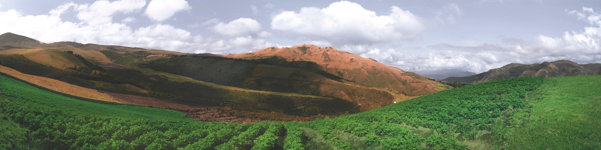 A hilly landscape with green fields and a mountain in the background.