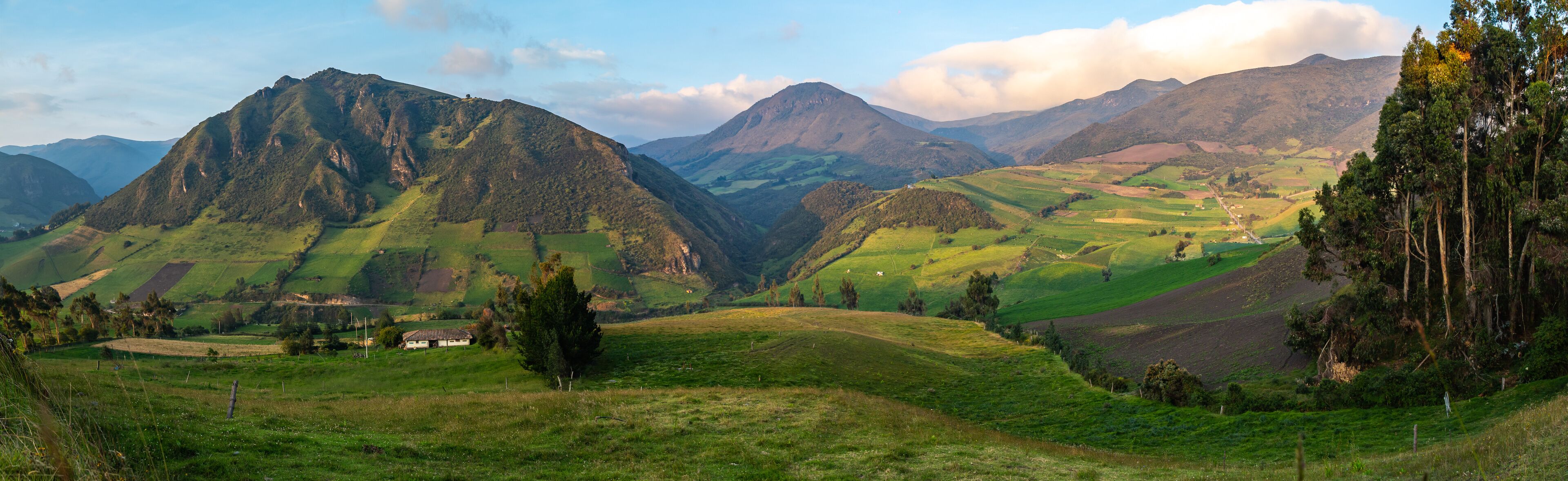 Andean landscape, cultivated fields