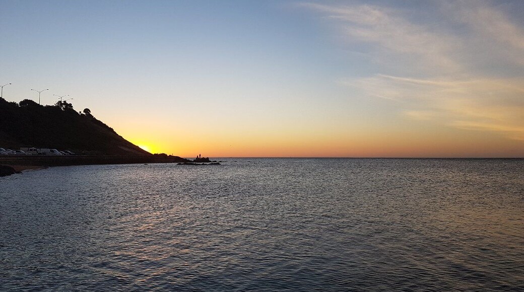 My city has a habit of changing halfway through the day.
This morning we had thunderstorms. This afternoon was beautiful.