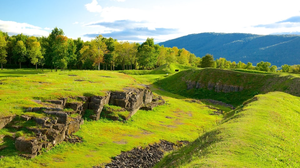 A grassy field with ancient stone ruins and a hill in the background.