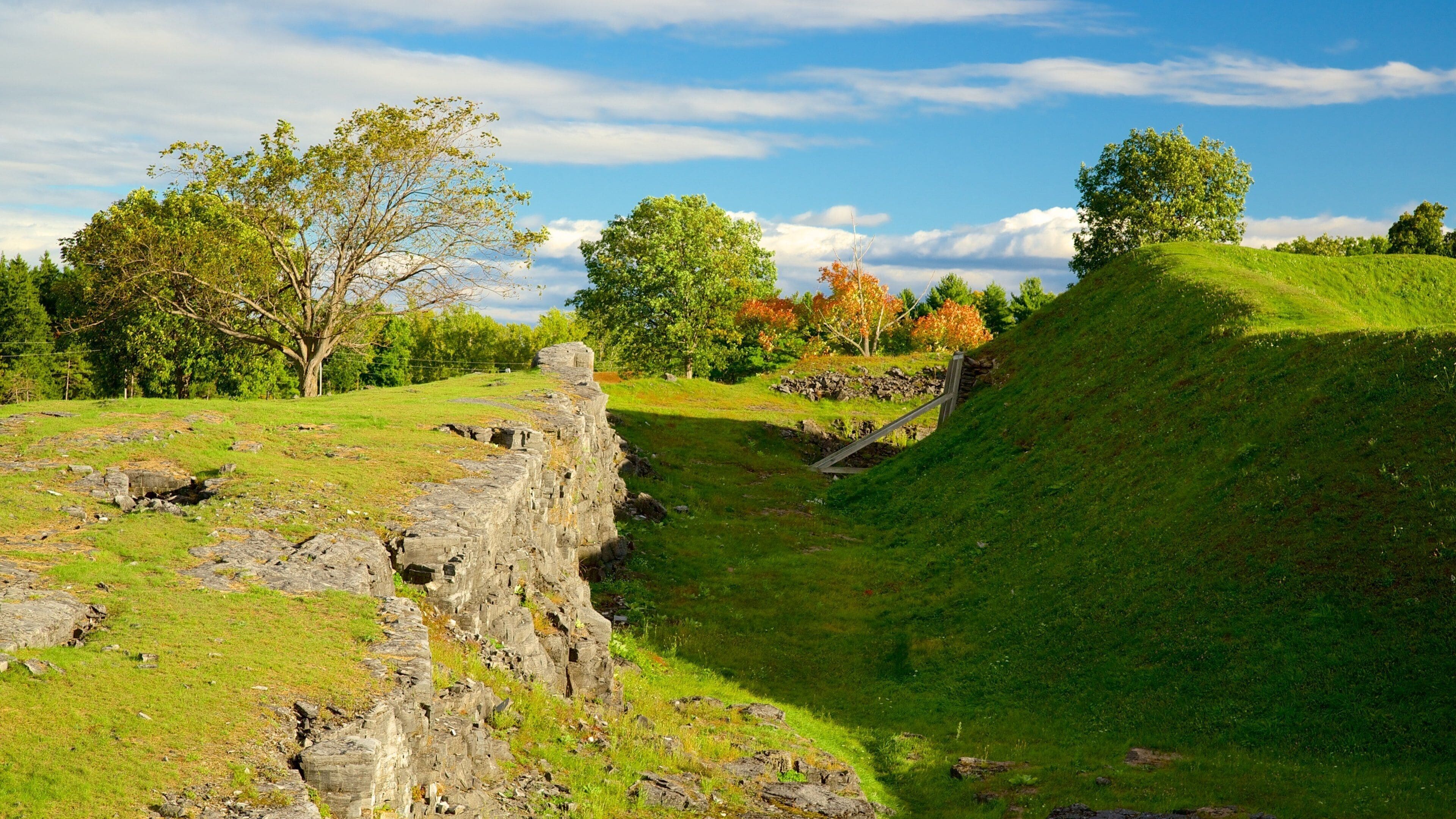 A grassy landscape with a stone wall and a wooden bridge.