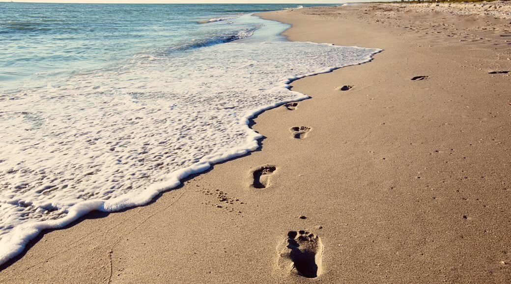 Sanibel Captiva Island showing a sandy beach and general coastal views