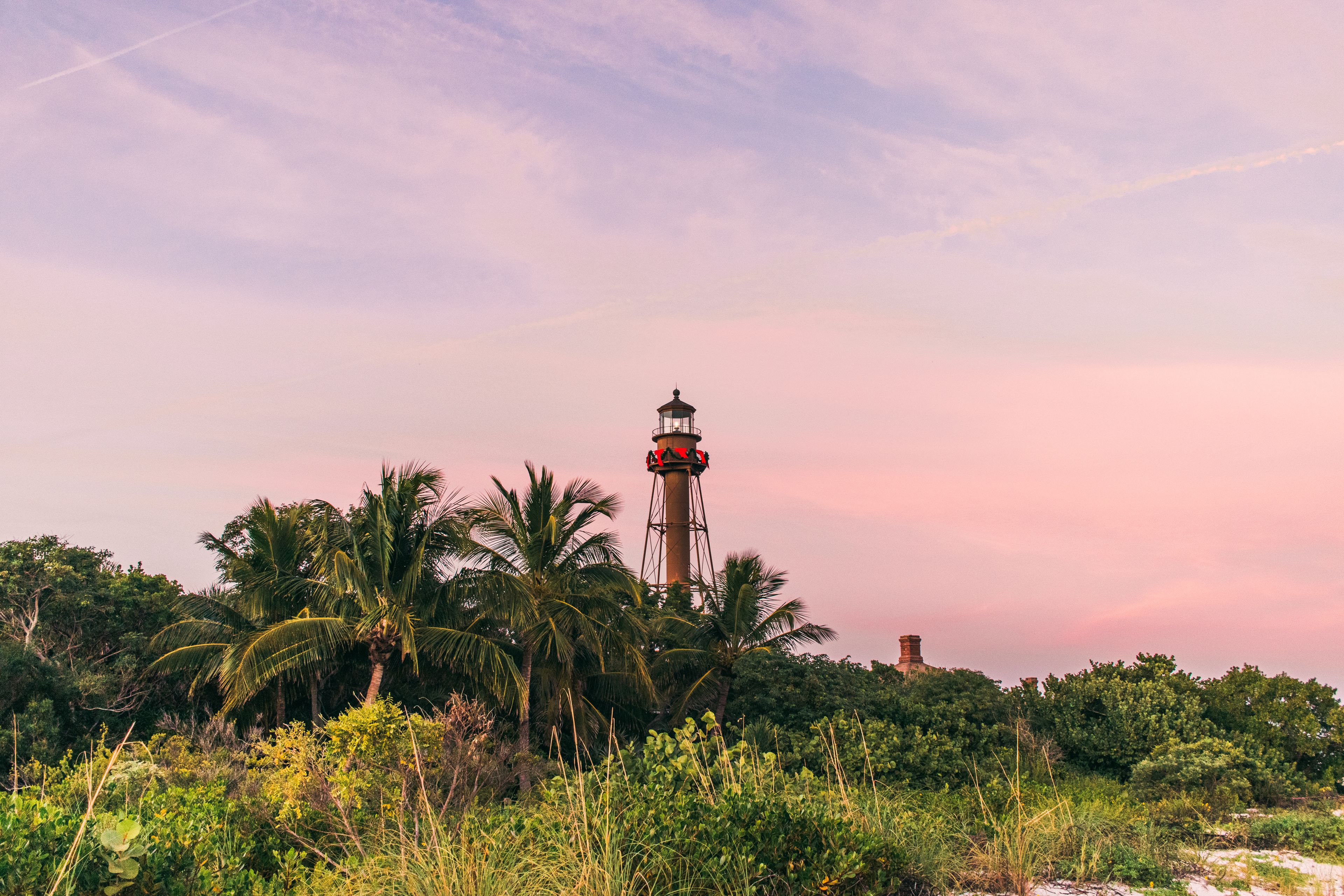 A lighthouse surrounded by lush greenery and palm trees under a pinkish sky.