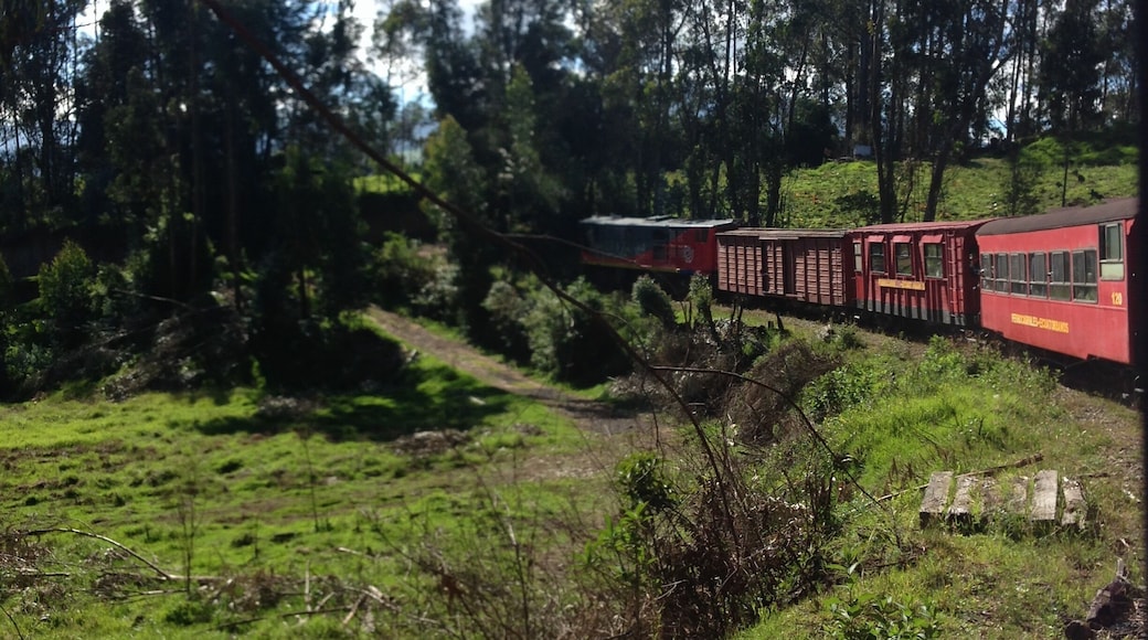 Train of the Volcanoes In Alexander von Humboldt’s foosteps http://trenecuador.com/en/train-of-the-volcanoes-in-alexander-von-humboldts-foosteps/
The first segment of track to be rehabilitated following the declaration of the Ecuadorian Railways as a national heritage, the journey from Quito south towards the great colossus of Cotopaxi has been running since 2009. It remains one of the most beautiful and memorable in the country.
The journey begins at the historic train station of Chimbacalle, whose history dates back to when the Guayaquil to Quito railway was finally completed in 1908. Here, amid this friendly neighbourhood – a mix of residential homes and businesses – the train sets off for its route southwards along the famous ‘Avenue of the Volcanoes’, thus named by the great Prussian explorer, Alexander Von Humboldt.