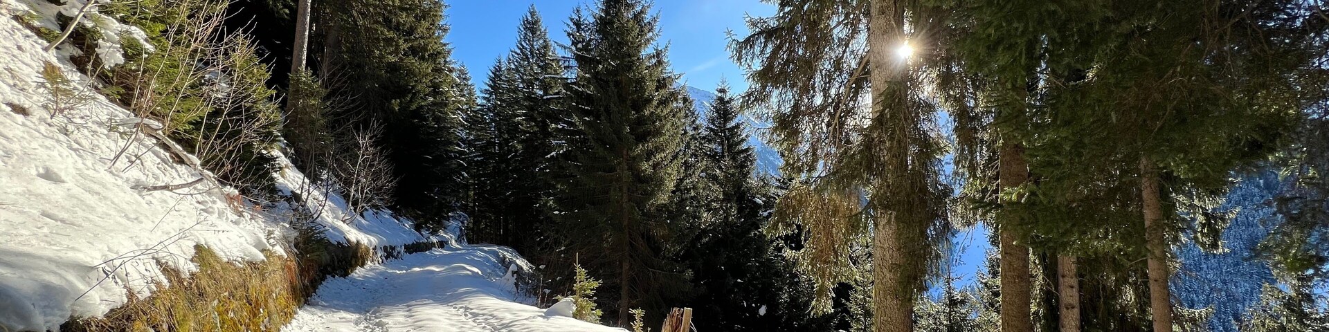 Alpine forest trails in a typical winter environment and under fresh snow cover on the Swiss Alps mountain massif, Klosters- Canton of Grisons, Switzerland (Kanton Graubünden, Schweiz)