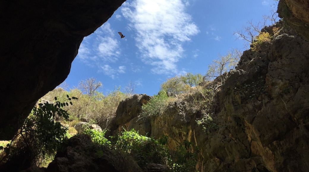 One of our favorite stops along the Gibb River Road was visiting Tunnel Creek. Bring a bright glowing torch to walk through the natural cave here and beware of the occasional small and "harmless" freshwater crocodiles that might be down there by the water! This picture was taken at an opening in the cave where heaps of bats live. #SMDdoesOZ #GibbRiverRoad #TheOutback #Australia