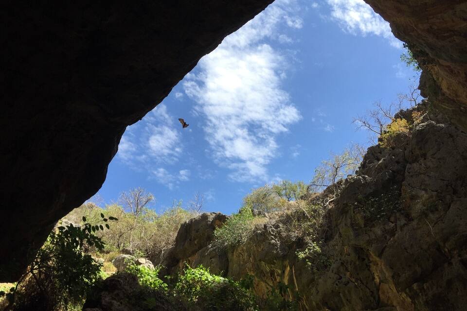 Boca de cueva con un murciélago volando en el cielo.