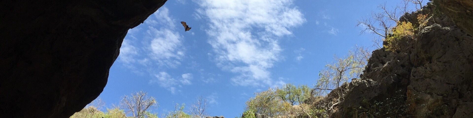 One of our favorite stops along the Gibb River Road was visiting Tunnel Creek. Bring a bright glowing torch to walk through the natural cave here and beware of the occasional small and "harmless" freshwater crocodiles that might be down there by the water! This picture was taken at an opening in the cave where heaps of bats live. #SMDdoesOZ #GibbRiverRoad #TheOutback #Australia