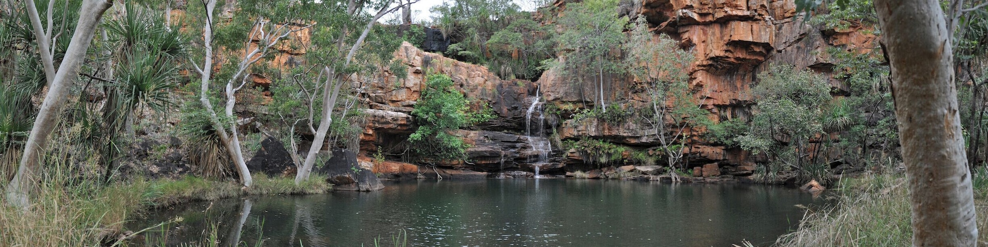 The Gibb River Road is an absolutely amazing experience. Its in my Top 5 List of Places to Visit in Australia and it is truly a special destination with postcard perfect waterholes, pounding waterfalls and spectacular sunsets over one of Australia's most picturesque ranges, the Cockburns! (not pronounced as dirty as its spelt, but rather as 'coburn'.)
You can hire a 4WD from Broome or Kununurra or jump on a tour with one of the off-road tour buses.
For must know information on driving the road in a rental car check out:
http://www.seesomethingnew.com.au/australia/western-australia/going-rental-gibb-river-road for