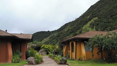 Papallacta hot springs. Outstanding spot. Just look out for altitude sickness. It'll hit you hard at these heights.
