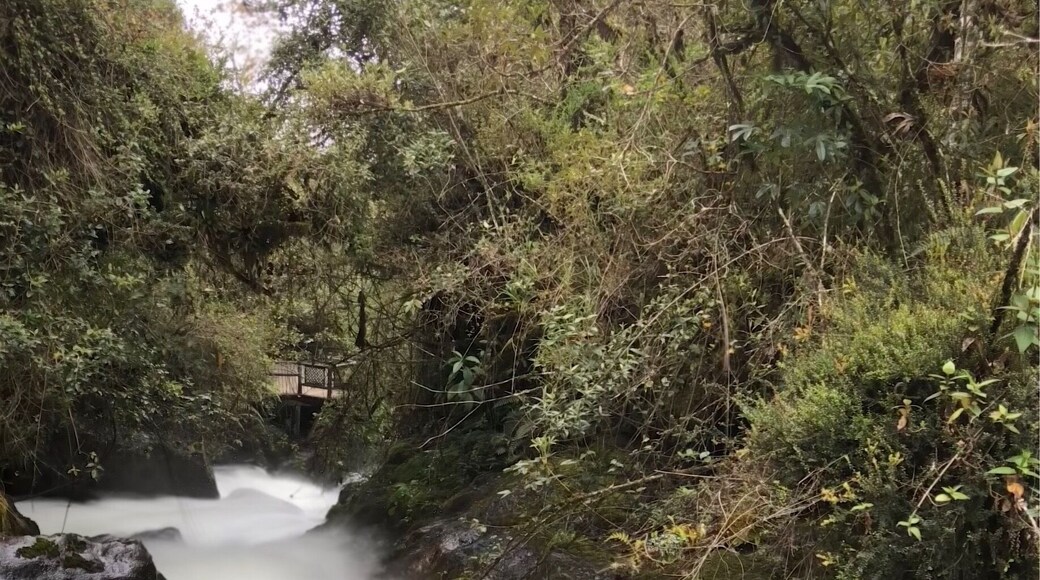 Nice cooling hike in Ecuador’s highlands