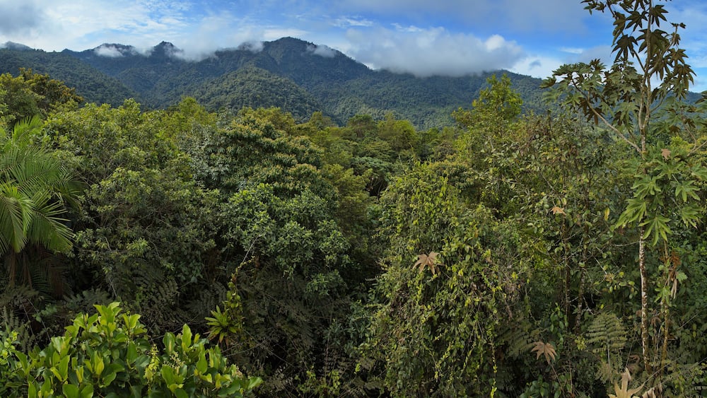 View from the upper station of Teleferico in Minjoy Park in Mindo, Ecuador, South America