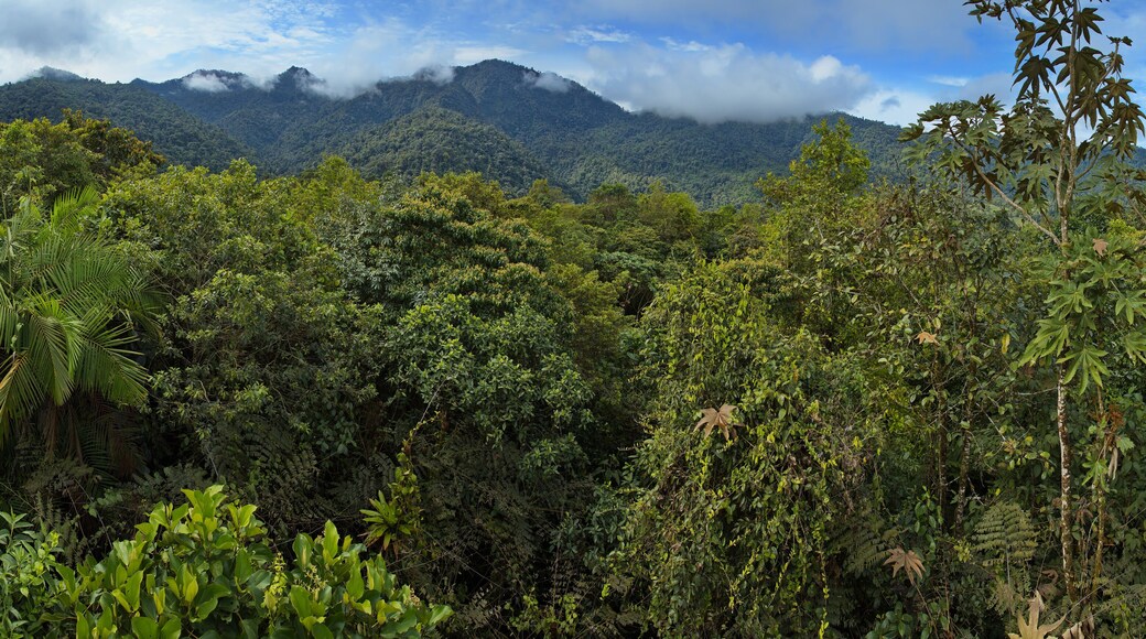 San Miguel de los Bancos