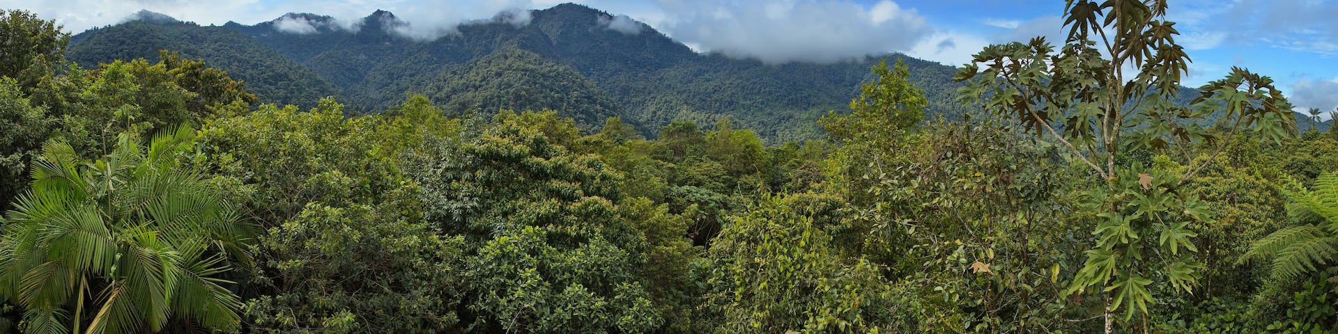 View from the upper station of Teleferico in Minjoy Park in Mindo, Ecuador, South America