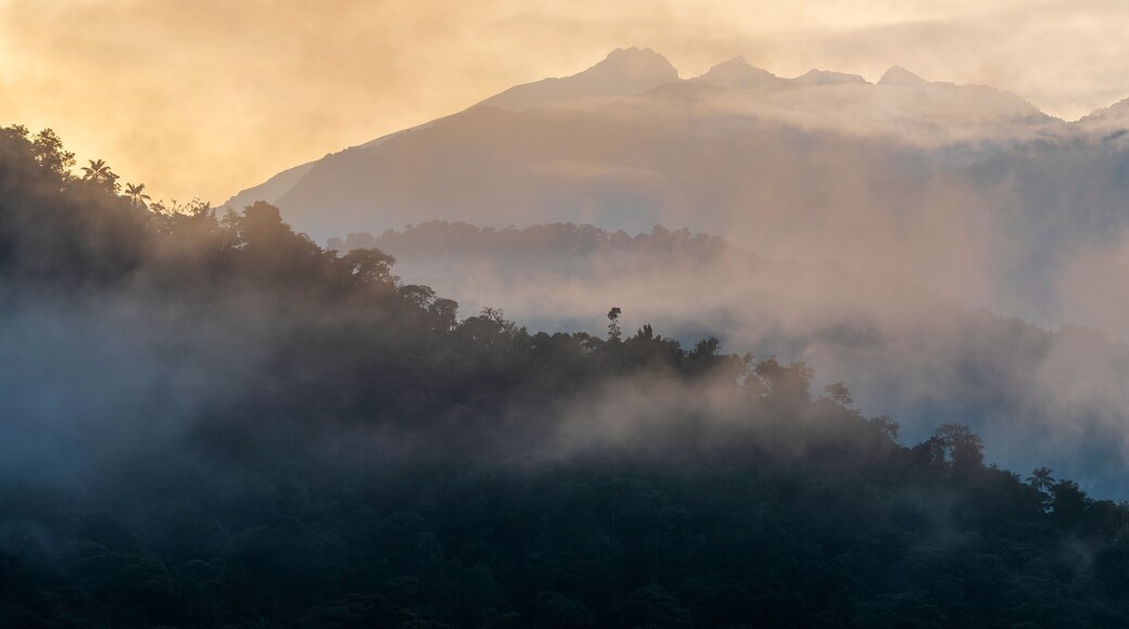 San Miguel de los Bancos