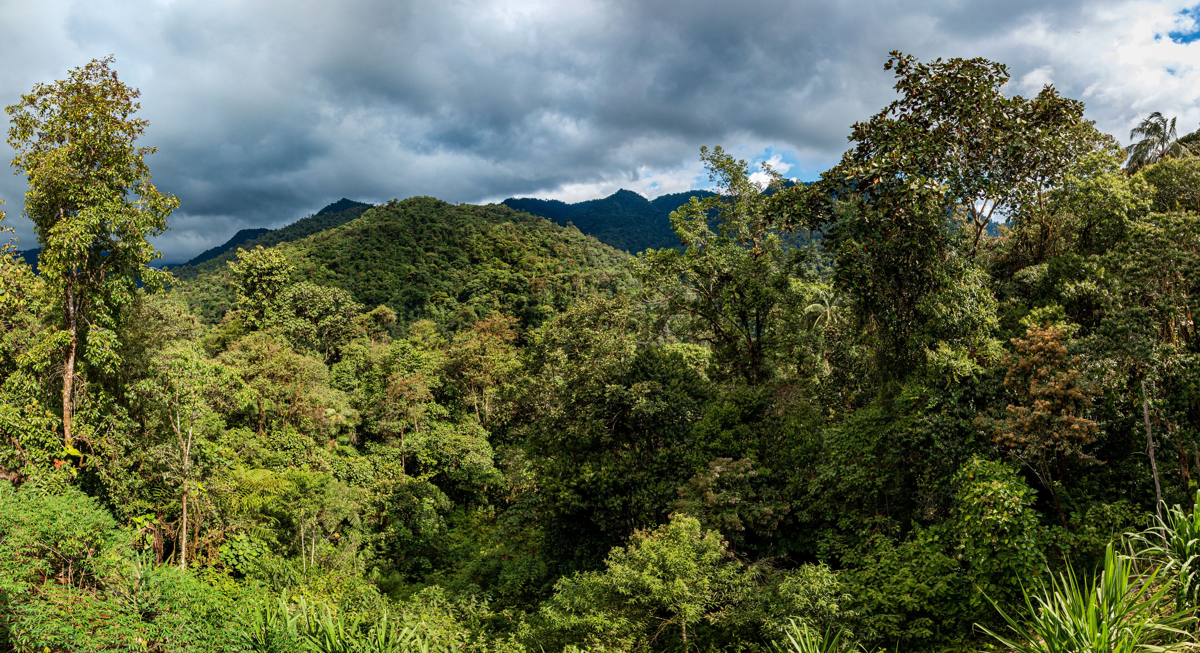 San Miguel de los Bancos