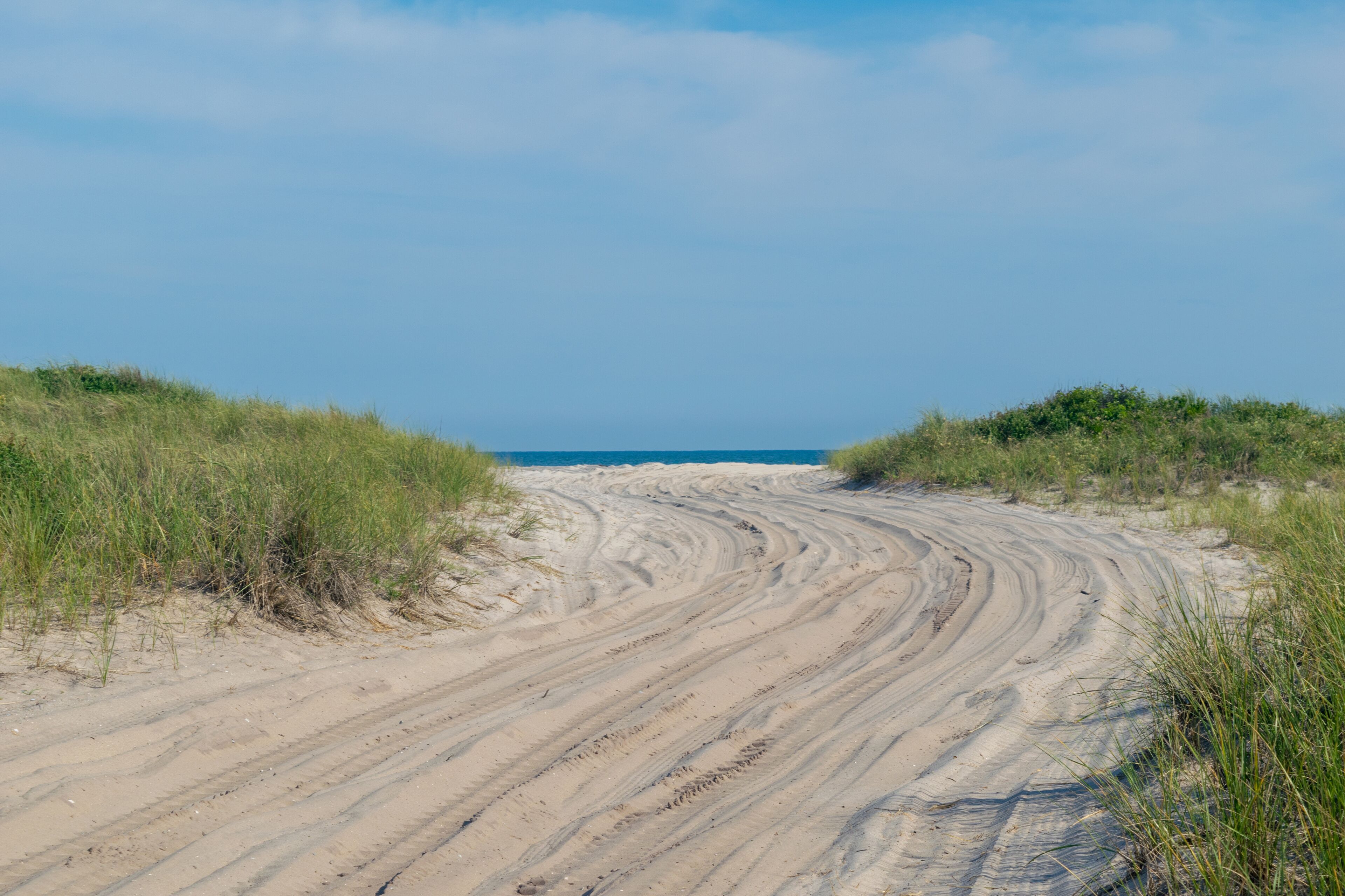 Sandy path toward the beach, with lush green grass on both sides, Fire Island, NY