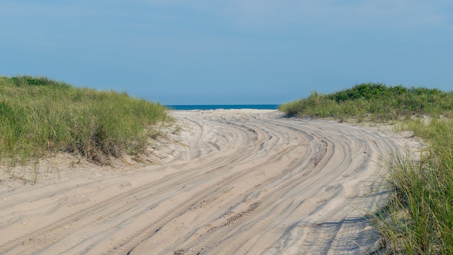 Sandy path toward the beach, with lush green grass on both sides, Fire Island, NY