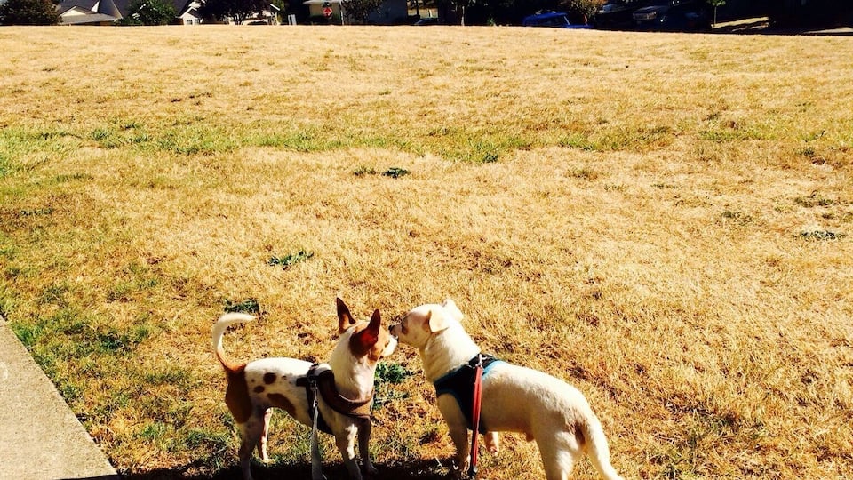 Murdock Park in Sherwood.