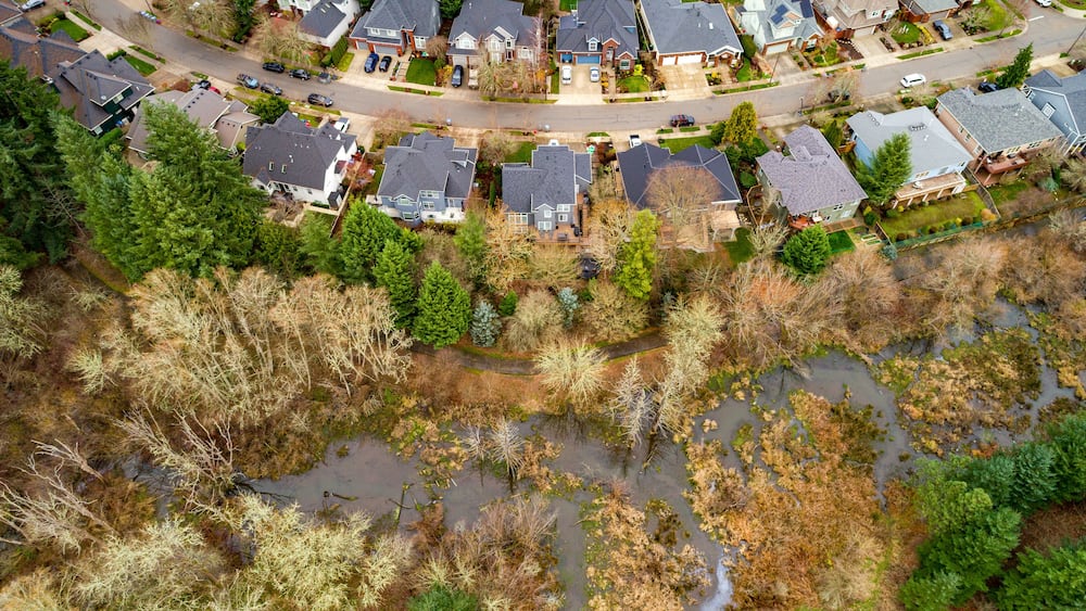 Aerial view of homes nestled beside a sprawling wetland, where the stark contrast between urban development and untamed nature is vivid, Sherwood, Oregon, United States.