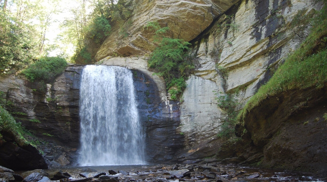 A few steps off the road is this amazing waterfall - easy to find, just outside of Brevard in the beautiful Pisgah National Forest.