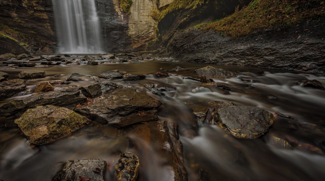 Just off the 276 in the Pisgah Forest in North Carolina lies the Looking Glass Falls. Very easily accessible, it is a favorite destination and gets quite crowded. Hence it is advisable to get here early in the morning.
This shot was taken during my Fall trip to the mountains. There's not much foliage around the waterfall, especially with this composition. But the surrounding rocks do add some nice warmth, especially with the sun rising directly behind the waterfall.
The nearby town of Brevard is a very nice town with lots of eating joints. There is a coffee shop there called Quotations that is a must stop on a cold day. Best cappuccino I've ever had.
Thank you for your views and comments.
#Autumn #Fall #NC #USA #Brevard #Waterfall #Nature #LookingGlass #colorful #trovercontest #roadtrips #weekend #hiking #waterlust